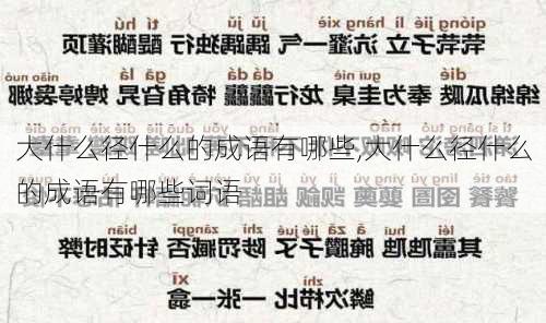 大什么径什么的成语有哪些,大什么径什么的成语有哪些词语