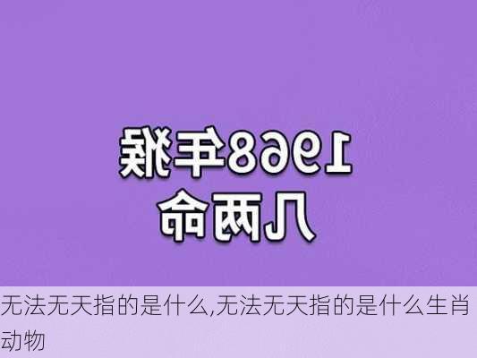 无法无天指的是什么,无法无天指的是什么生肖动物