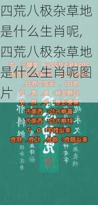 四荒八极杂草地是什么生肖呢,四荒八极杂草地是什么生肖呢图片