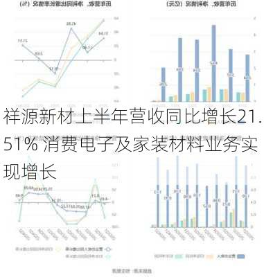 祥源新材上半年营收同比增长21.51% 消费电子及家装材料业务实现增长