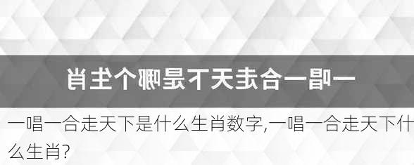 一唱一合走天下是什么生肖数字,一唱一合走天下什么生肖?