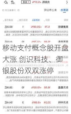 移动支付概念股开盘大涨 创识科技、御银股份双双涨停