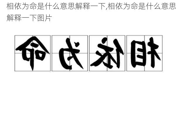 相依为命是什么意思解释一下,相依为命是什么意思解释一下图片