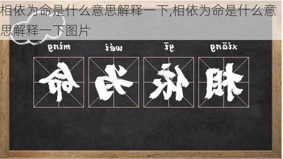 相依为命是什么意思解释一下,相依为命是什么意思解释一下图片