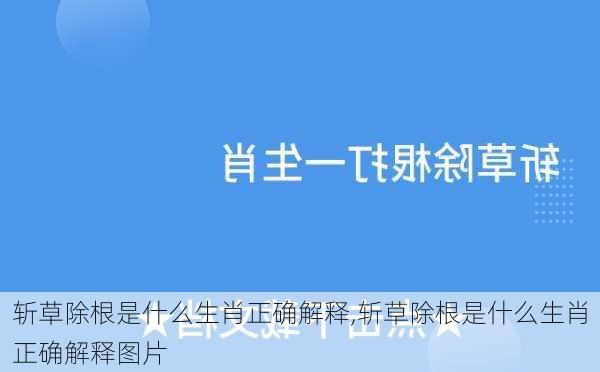 斩草除根是什么生肖正确解释,斩草除根是什么生肖正确解释图片