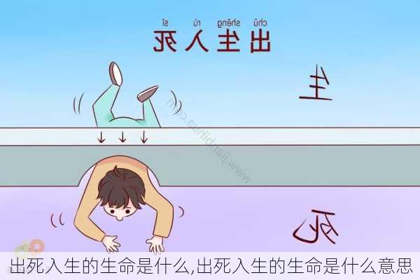 出死入生的生命是什么,出死入生的生命是什么意思