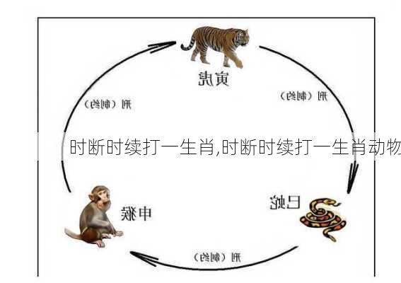 时断时续打一生肖,时断时续打一生肖动物