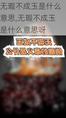 无瑕不成玉是什么意思,无瑕不成玉是什么意思呀