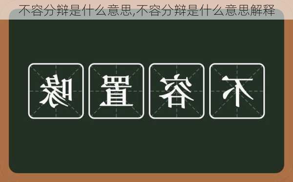 不容分辩是什么意思,不容分辩是什么意思解释