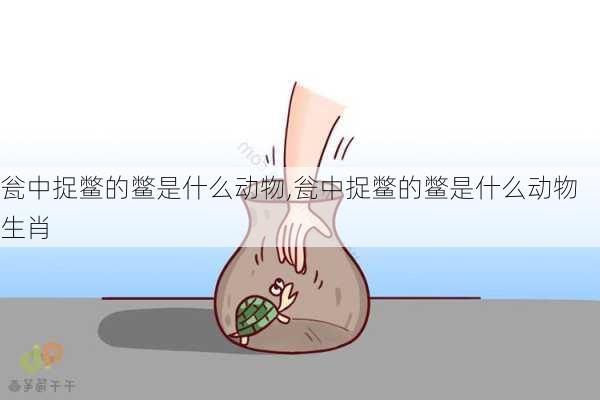 瓮中捉鳖的鳖是什么动物,瓮中捉鳖的鳖是什么动物生肖