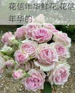 花信年华鲜花,花信年华的