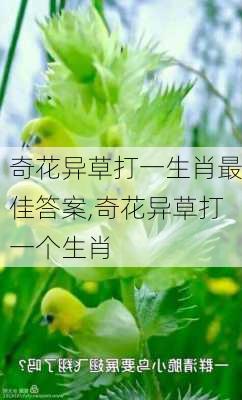 奇花异草打一生肖最佳答案,奇花异草打一个生肖