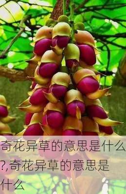 奇花异草的意思是什么?,奇花异草的意思是什么