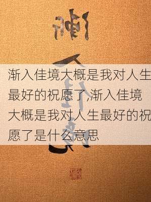 渐入佳境大概是我对人生最好的祝愿了,渐入佳境大概是我对人生最好的祝愿了是什么意思