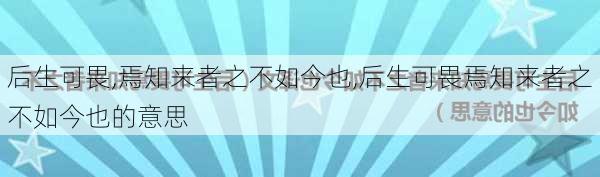 后生可畏,焉知来者之不如今也,后生可畏焉知来者之不如今也的意思