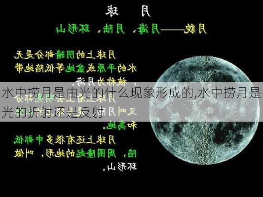 水中捞月是由光的什么现象形成的,水中捞月是光的折射还是反射