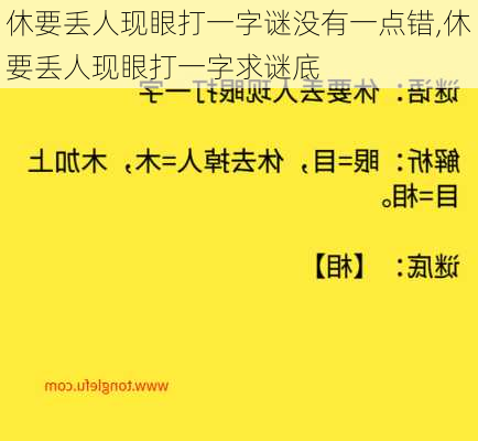 休要丢人现眼打一字谜没有一点错,休要丢人现眼打一字求谜底