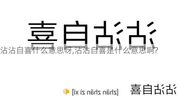 沾沾自喜什么意思呀,沾沾自喜是什么意思啊?