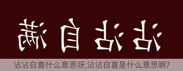 沾沾自喜什么意思呀,沾沾自喜是什么意思啊?