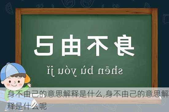 身不由己的意思解释是什么,身不由己的意思解释是什么呢