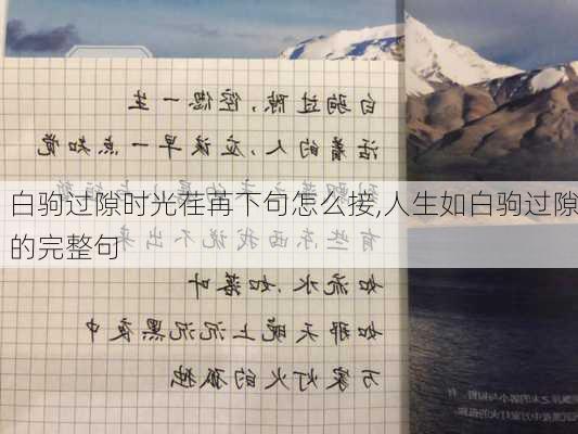 白驹过隙时光荏苒下句怎么接,人生如白驹过隙的完整句