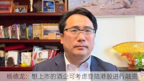 杨德龙：想上市的酒企可考虑登陆港股进行融资