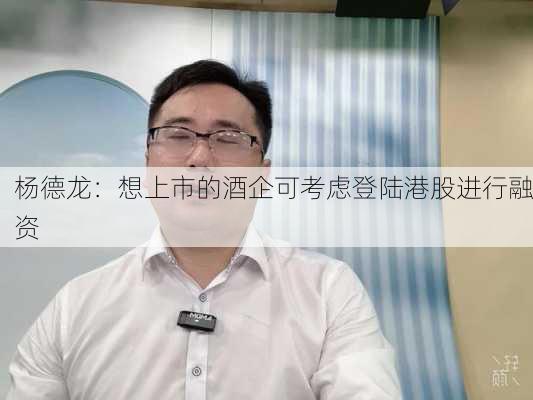 杨德龙：想上市的酒企可考虑登陆港股进行融资