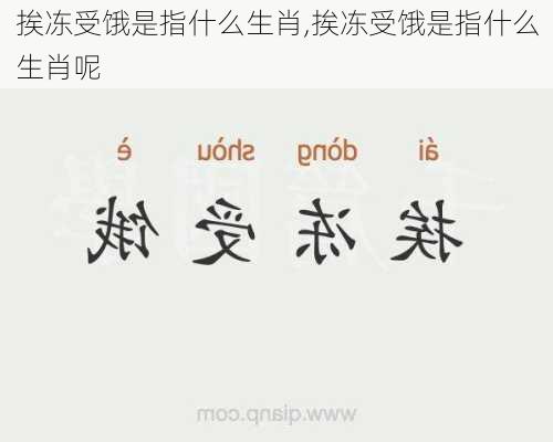 挨冻受饿是指什么生肖,挨冻受饿是指什么生肖呢