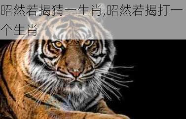 昭然若揭猜一生肖,昭然若揭打一个生肖