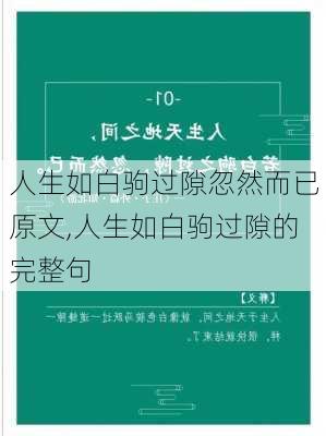 人生如白驹过隙忽然而已原文,人生如白驹过隙的完整句