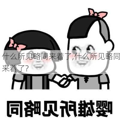 什么所见略同来着了,什么所见略同来着了?