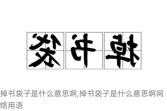 掉书袋子是什么意思啊,掉书袋子是什么意思啊网络用语