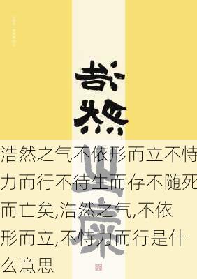 浩然之气不依形而立不恃力而行不待生而存不随死而亡矣,浩然之气,不依形而立,不恃力而行是什么意思