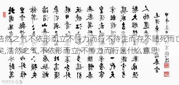 浩然之气不依形而立不恃力而行不待生而存不随死而亡矣,浩然之气,不依形而立,不恃力而行是什么意思