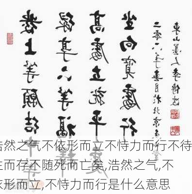 浩然之气不依形而立不恃力而行不待生而存不随死而亡矣,浩然之气,不依形而立,不恃力而行是什么意思