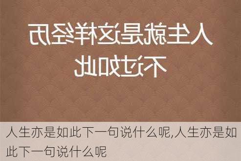 人生亦是如此下一句说什么呢,人生亦是如此下一句说什么呢