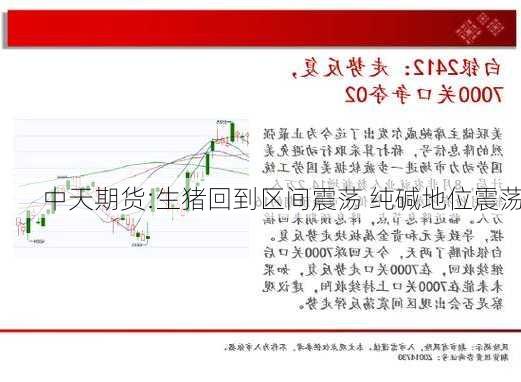 中天期货:生猪回到区间震荡 纯碱地位震荡