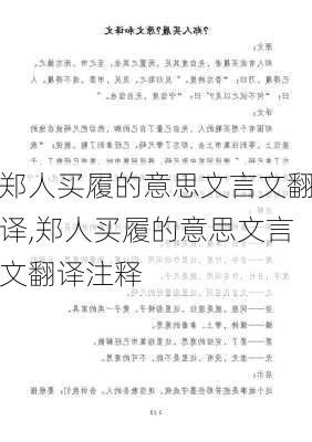 郑人买履的意思文言文翻译,郑人买履的意思文言文翻译注释