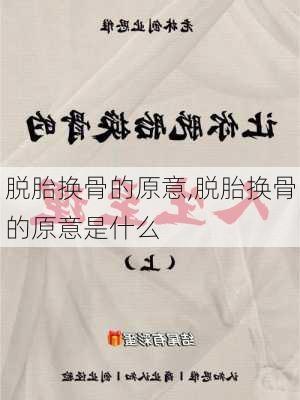 脱胎换骨的原意,脱胎换骨的原意是什么