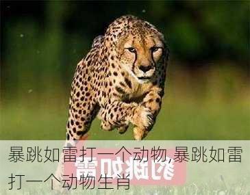 暴跳如雷打一个动物,暴跳如雷打一个动物生肖