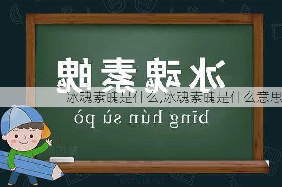 冰魂素魄是什么,冰魂素魄是什么意思