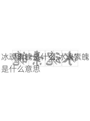 冰魂素魄是什么,冰魂素魄是什么意思