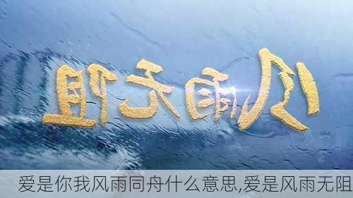 爱是你我风雨同舟什么意思,爱是风雨无阻