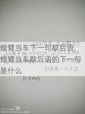 螳臂当车下一句歇后语,螳臂当车歇后语的下一句是什么