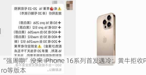 “强周期”没来 iPhone 16系列首发遇冷：黄牛拒收Pro等版本