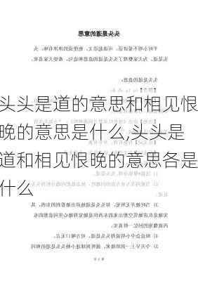 头头是道的意思和相见恨晚的意思是什么,头头是道和相见恨晚的意思各是什么