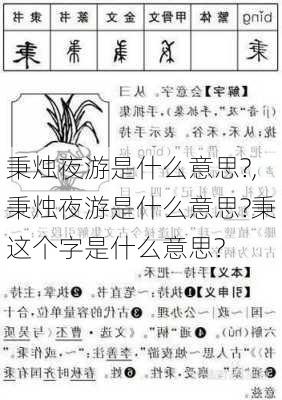 秉烛夜游是什么意思?,秉烛夜游是什么意思?秉这个字是什么意思?