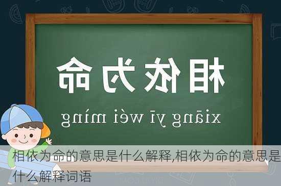 相依为命的意思是什么解释,相依为命的意思是什么解释词语