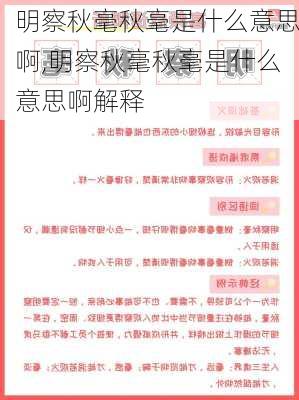 明察秋毫秋毫是什么意思啊,明察秋毫秋毫是什么意思啊解释