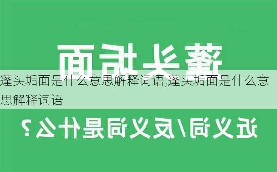 蓬头垢面是什么意思解释词语,蓬头垢面是什么意思解释词语